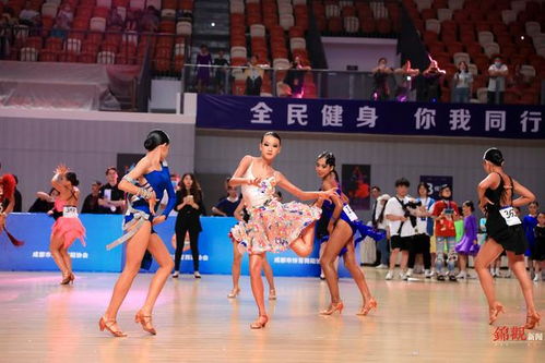 四赛合一 成德眉资舞林高手今日蓉城竞技