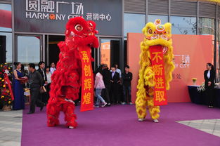 p4 p4的分类