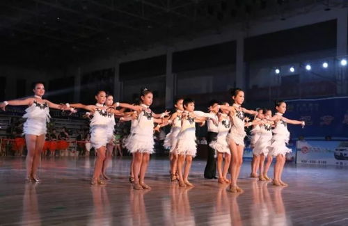庆端午 赛龙舟 看南海新区明珠河畔百舸争流