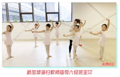 【嘉兴地区4家分校同时复课,宝贝们表现非常给力!】-