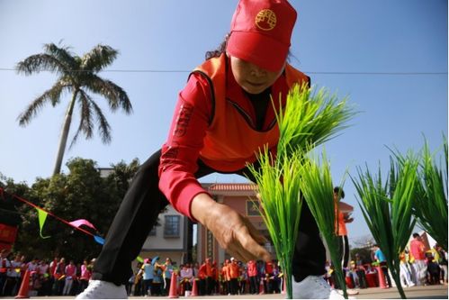 2019广东省乡风民俗趣味运动会 湛江站 乡民同乐,非遗共舞