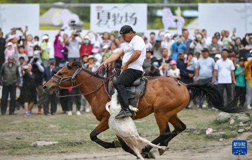 乌鲁木齐 游牧文化旅游节 开启