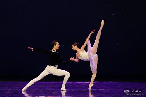 2019年兰州市惠民演出 中外精品舞蹈荟萃绚丽上演，体育舞蹈盛宴惊艳金城